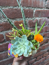 Load image into Gallery viewer, Autumnal Mini Pumpkin Arrangement Workshops @ Benny Boy Brewing Applefest 2025