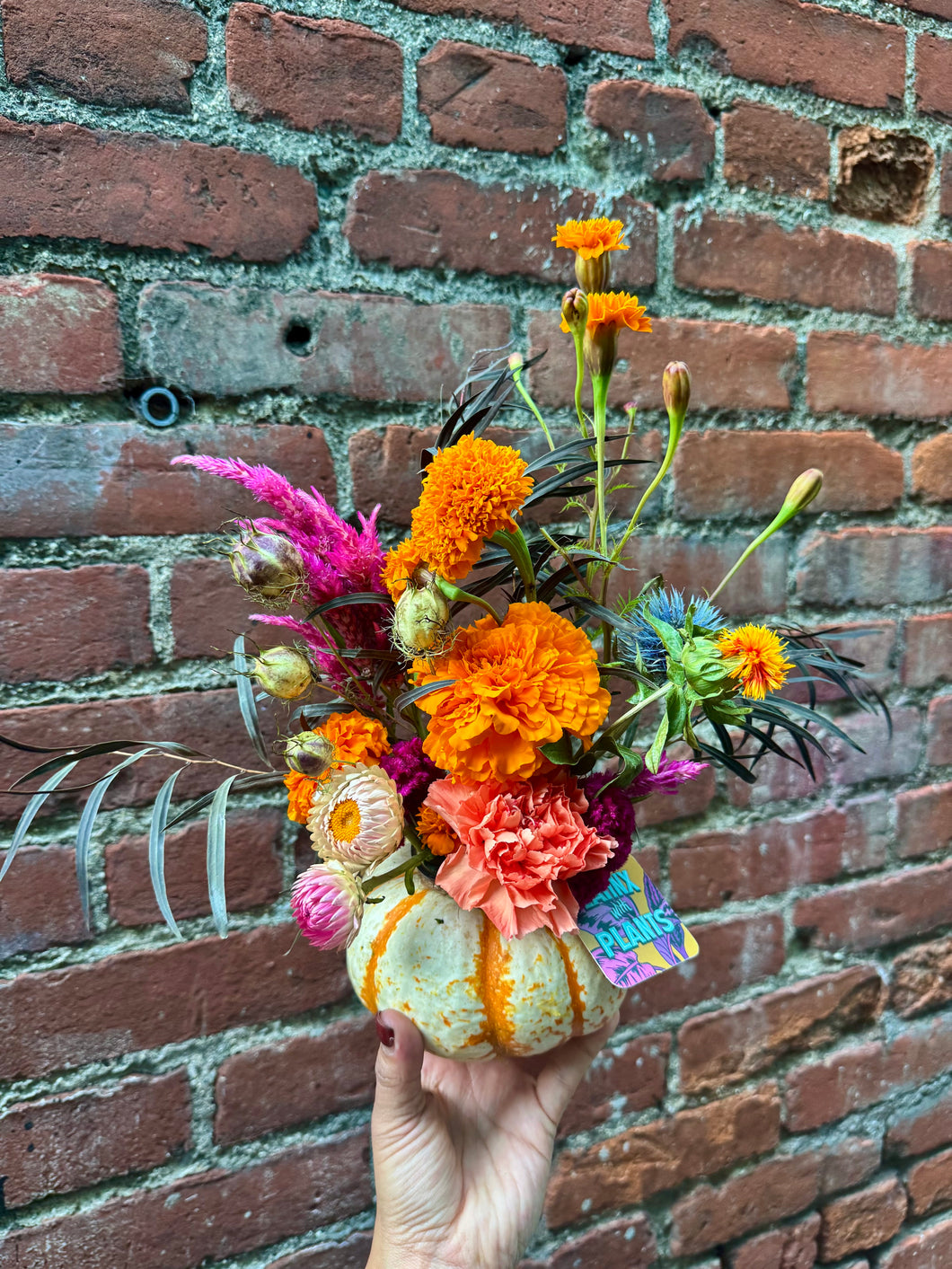 Autumnal Mini Pumpkin Arrangement Workshops @ Benny Boy Brewing Applefest 2025