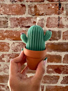 Cactus Soy-Based Candles | LWP x Easton Wicks Collab