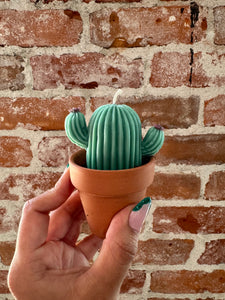 Cactus Soy-Based Candles | LWP x Easton Wicks Collab