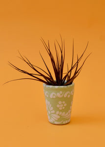 Montana Black Air Plant