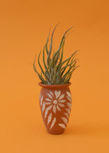 Load image into Gallery viewer, Ty Air Plant
