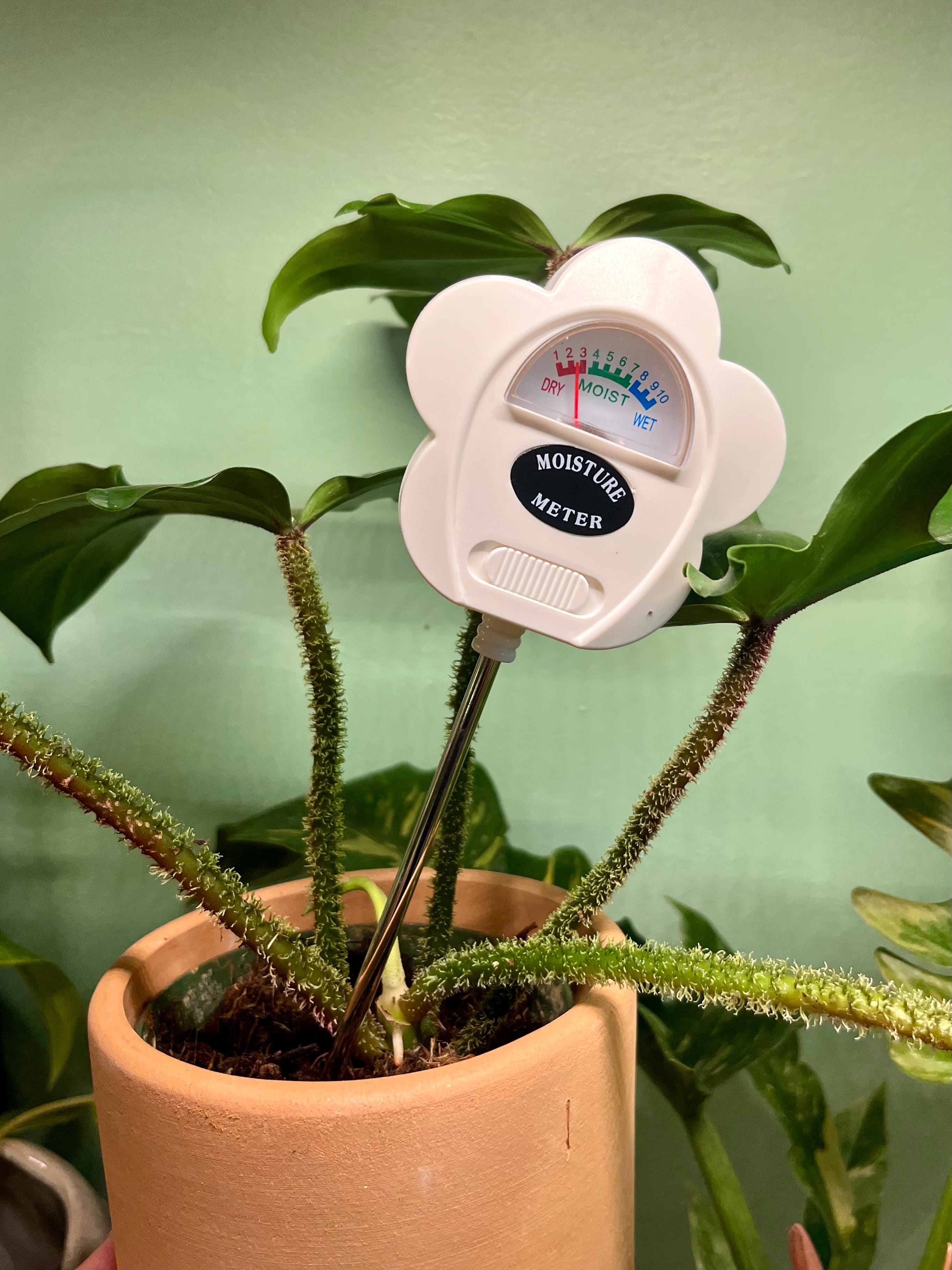 moisture probe for plants Moisture Meter